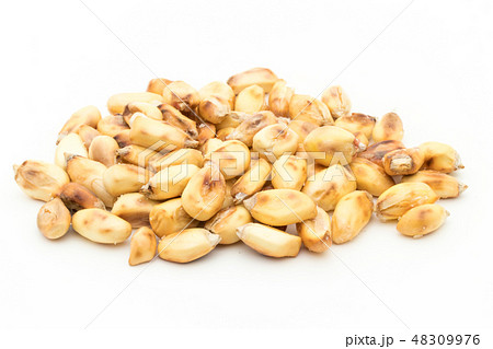 チュルペ コーン　トスタード　ポップデントコーン　Chulpe Tostado 48309976