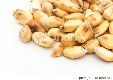 チュルペ コーン トスタード ポップデントコーン Chulpe Tostado チュルペ コーン トスタード ポップデントコーン Chulpe Tostado 48309978