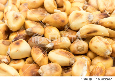 チュルペ コーン　トスタード　ポップデントコーン　Chulpe Tostado 48309982