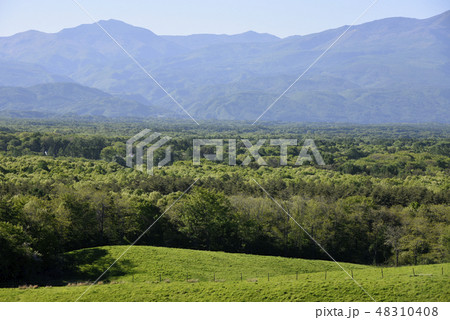 浅間牧場 48310408
