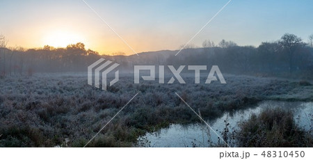 Autumn landscape of early foggy morning Autumn landscape of early foggy morning 48310450