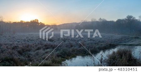 Autumn landscape of early foggy morning Autumn landscape of early foggy morning 48310451