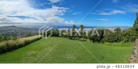 タンタラスの丘(プウ ウアラカア州立公園)の展望台からの風景 タンタラスの丘(プウ ウアラカア州立公園)の展望台からの風景 48310634