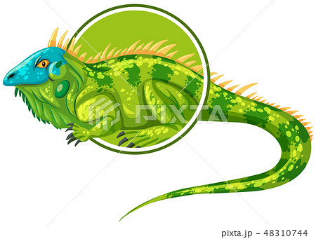 Iguanas Character On Sticker Templateのイラスト素材