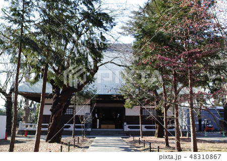 九品仏浄真寺境内 九品仏浄真寺境内 48310867