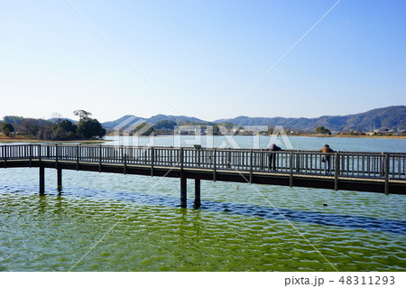 平池緑地公園 和歌山県 48311293