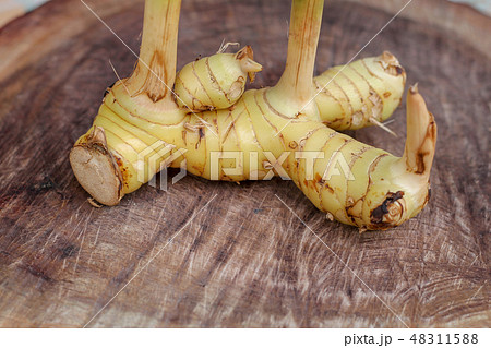 Galanga on wooden background 48311588