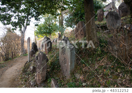 少林山　達磨寺　境内　庚申塔　　群馬県高崎市 48312252