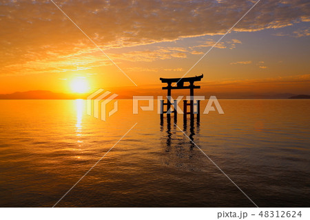 白鬚 (しらひげ) 神社 ・ 日の出　【滋賀県高島市・琵琶湖】 48312624