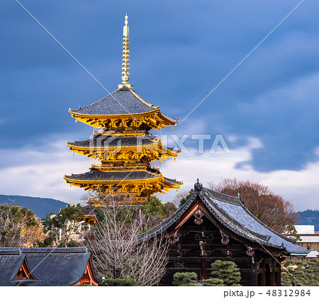 京都 東寺 五重塔と南大門 京都 東寺 五重塔と南大門 48312984