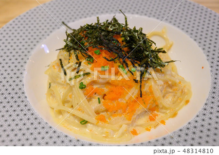 パスタ・スパゲッティ・クリーム・カルボナーラ パスタ・スパゲッティ・クリーム・カルボナーラ 48314810
