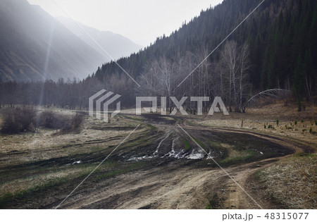 Autumn nature in Scotland, UK Autumn nature in Scotland, UK 48315077