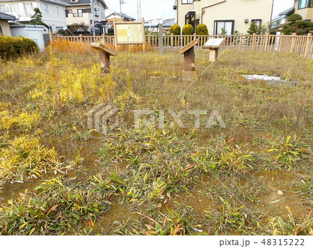 桜ヶ丘組石遺跡 桜ヶ丘組石遺跡 48315222