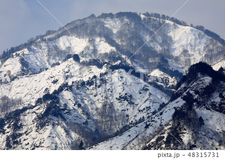 冬晴れの里山 ブナの生育地 福島県只見町 冬晴れの里山 ブナの生育地 福島県只見町 48315731