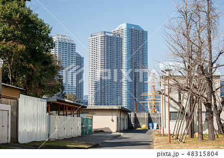 東京海洋大学　越中島キャンパス 48315804