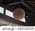 杉玉 48316350