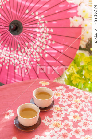 茶道　お茶の会　 Spring Tea Party of Japan  48316374