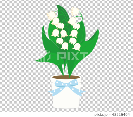 すずらん4 48316404