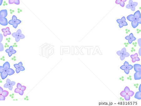 Rainy Season Flower Hydrangea June Vertical Frame Stock Illustration