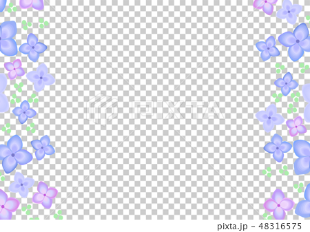 梅雨 花 紫陽花 6月 縦フレームのイラスト素材