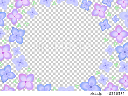 梅雨 花 紫陽花 6月 丸フレームのイラスト素材 4165