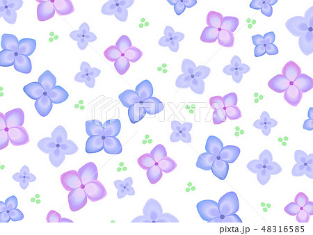 梅雨 花 紫陽花 6月 パターンのイラスト素材
