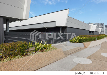 豊洲市場　屋上緑化広場 48316901