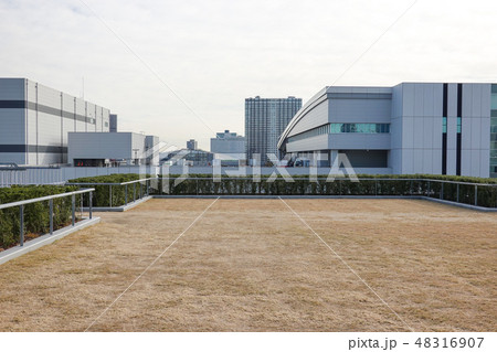 豊洲市場　屋上緑化広場 48316907