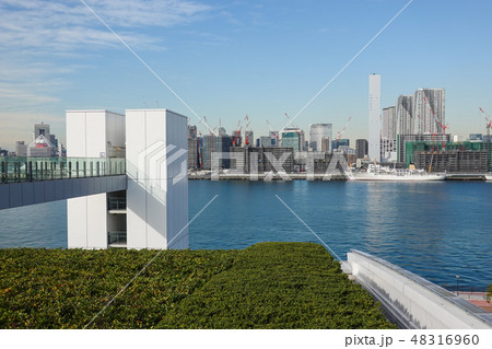 豊洲市場　屋上緑化広場 48316960