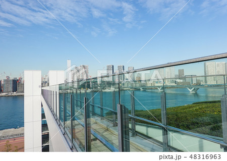 豊洲市場　屋上緑化広場 48316963