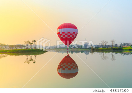 hot air balloons flying over Flower field hot air balloons flying over Flower field 48317100