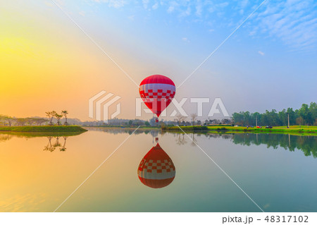 hot air balloons flying over Flower field hot air balloons flying over Flower field 48317102