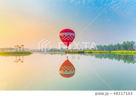hot air balloons flying over Flower field  48317103