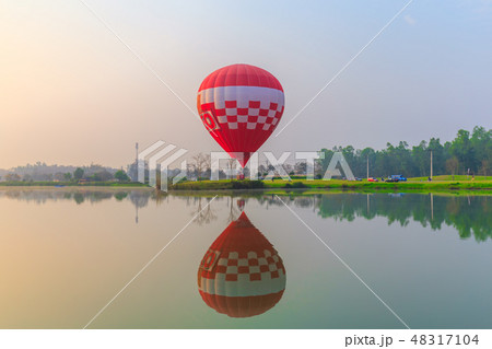 hot air balloons flying over Flower field hot air balloons flying over Flower field 48317104