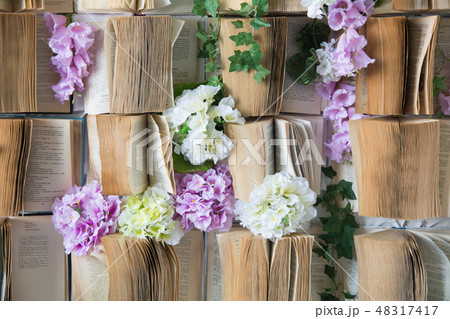 Background opened books on the wall and flowers Background opened books on the wall and flowers 48317417