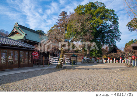 少林山　達磨寺　本堂　群馬県高崎市 48317705