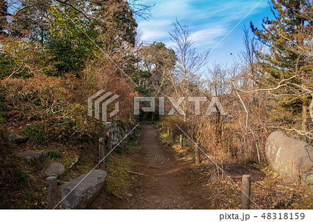 高崎自然歩道　少林山　達磨寺　群馬県高崎市 48318159