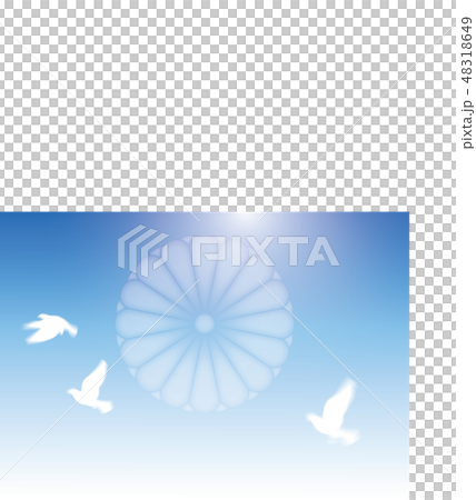 青空に菊花紋 青空に菊花紋 48318649