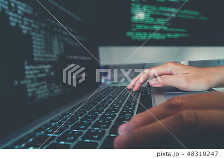 Developing programmer Development Website Developing programmer Development Website 48319247