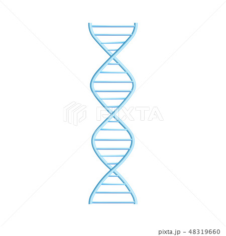 Vector DNA molecule helix spiral genetic code Vector DNA molecule helix spiral genetic code 48319660