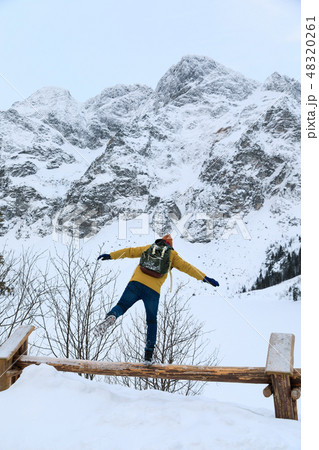 The traveler fools on the edge of wooden fence 48320261