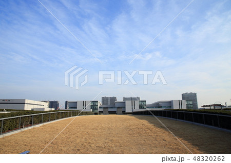 豊洲市場屋上緑化広場からの風景　 48320262