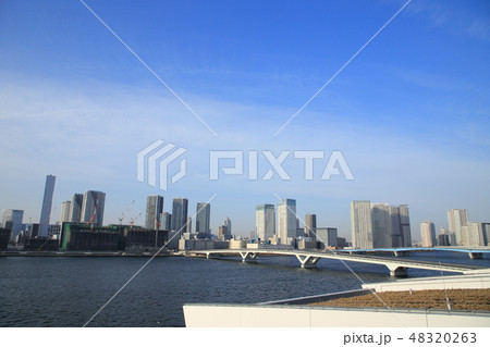 豊洲市場屋上緑化広場からの風景　 48320263