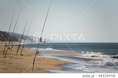 Many fishing rods fishing in the beach Many fishing rods fishing in the beach 48320458