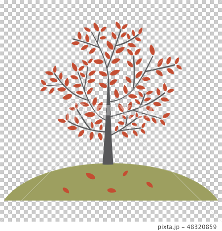樹在小山的秋葉 48320859