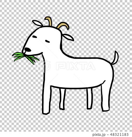 草を食べる白いヤギのイラスト素材 4211