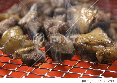地鶏焼き 48321294