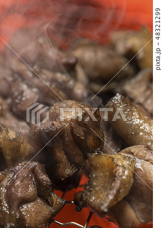 地鶏焼き 地鶏焼き 48321299