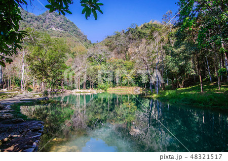 Swamp in Tham Luang ,Chiang Rai,Thailand Swamp in Tham Luang ,Chiang Rai,Thailand 48321517