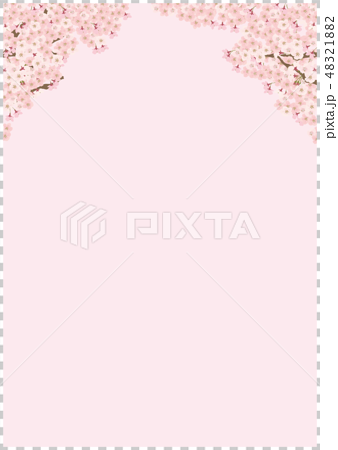 桜 ソメイヨシノ シンプル 背景 イラスト ピンクのイラスト素材 4218